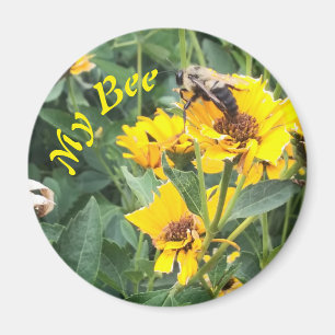 Bumblebee Pollinating a Yellow Flower Magnet