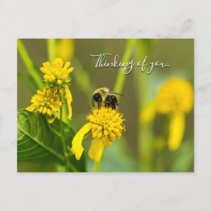 Bumblebee Thinking Of You Postcard