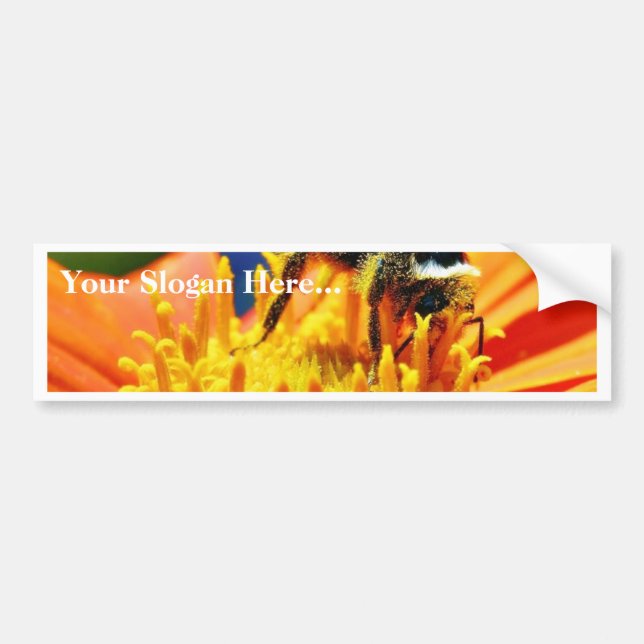 Bumblebees Flowers Macro Bumper Sticker (Front)