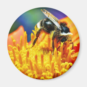 Bumblebees Flowers Macro Magnet