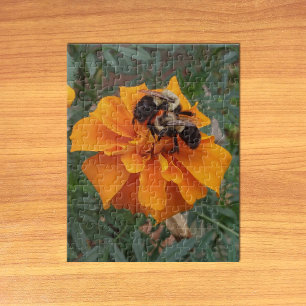 Bumblebees on Marigold Flower Jigsaw Puzzle