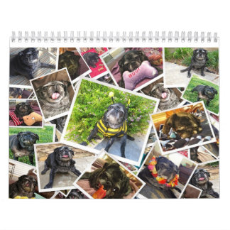 Bumblesnot 2014 Calendar