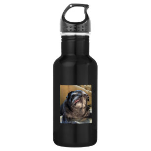 Bumblesnot 532 Ml Water Bottle
