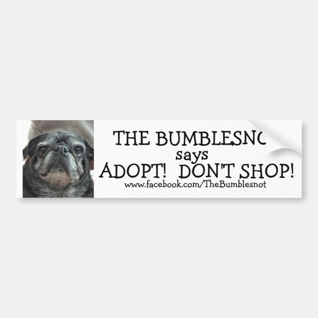 Bumblesnot bumper sticker: Adopt! Don't Shop! Bumper Sticker (Front)