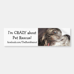 Bumblesnot bumper sticker: Crazy about Pet Rescue Bumper Sticker
