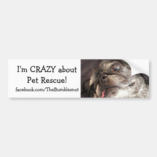 Bumblesnot bumper sticker: Crazy about Pet Rescue Bumper Sticker (Front)