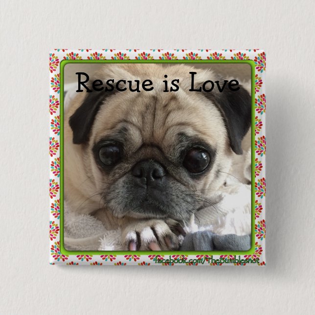 Bumblesnot button: Itsy Pug/Rescue is Love 15 Cm Square Badge (Front)
