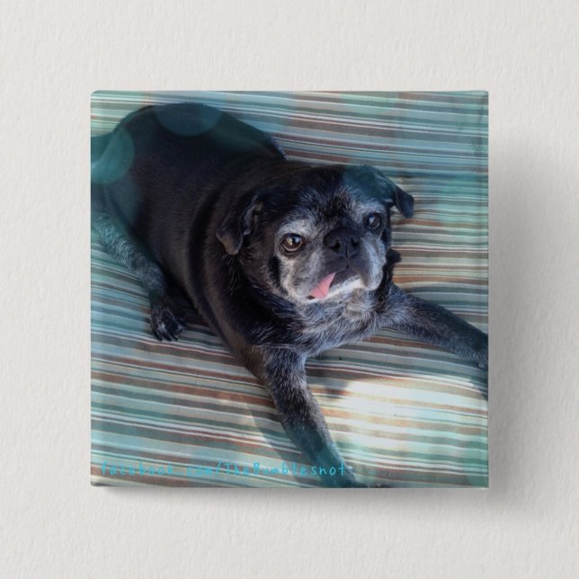 Bumblesnot button: Pug in Blue 15 Cm Square Badge (Front)