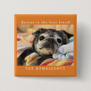 Bumblesnot button: Rescue is the best breed! 15 Cm Square Badge