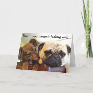 Bumblesnot card: Heard you weren't feeling well Card