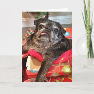 Bumblesnot Christmas card
