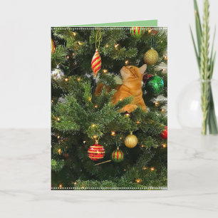 Bumblesnot: Christmas Card "The Orange Kitty"