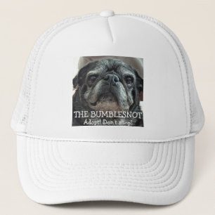 Bumblesnot Hat: Adopt! Don't shop! Trucker Hat