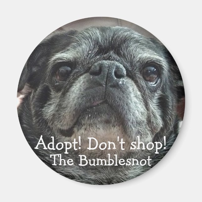 Bumblesnot magnet: Adopt! Don't shop! Magnet (Front)