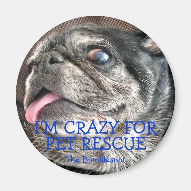 Bumblesnot magnet: I'm Crazy for Pet Rescue Magnet (Front)