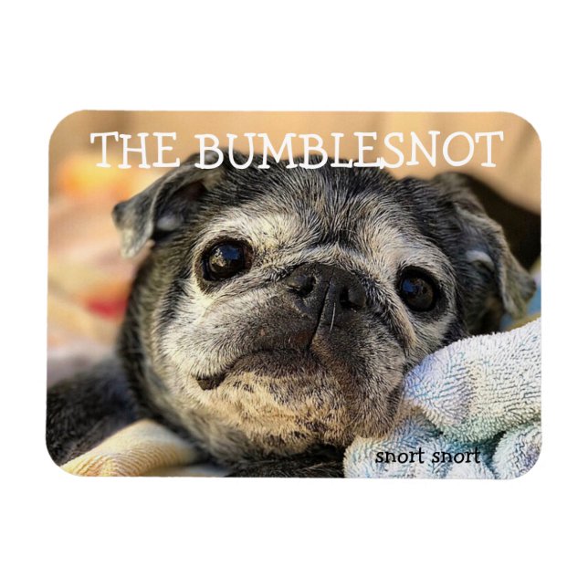 Bumblesnot magnet: snort snort magnet (Horizontal)