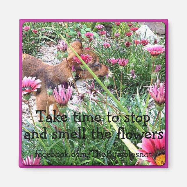 Bumblesnot magnet: The Wee One/Smell the flowers Magnet (Front)