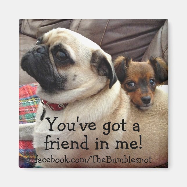 Bumblesnot magnet: You've Got a Friend in Me! Magnet (Front)