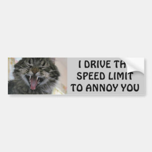 Bumper Cat Annoys Speeders Meme Sticker