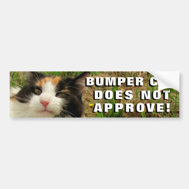 Bumper Cat Does Not Approve Meme Bumper Sticker (Front)