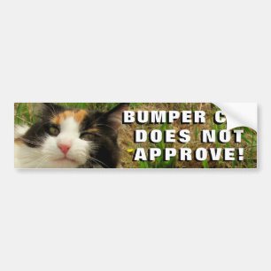 Bumper Cat Does Not Approve Meme Sticker