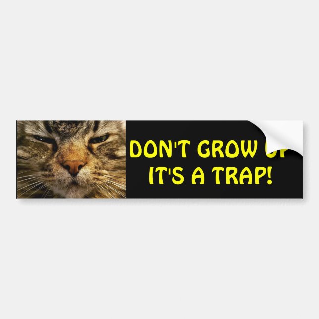 Bumper Cat  Don't Grow Up Meme Sticker (Front)