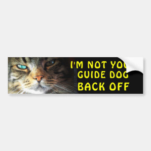 Bumper Cat is Not Your Guide Dog Bumper Sticker