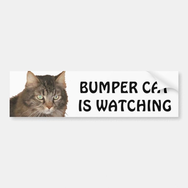 Bumper Cat is watching Bumper Sticker (Front)