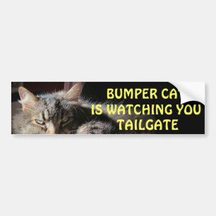 Bumper Cat is watching TAILGATE 15 Bumper Sticker