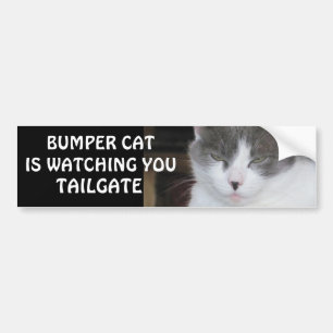 Bumper Cat is watching TAILGATE 18 Bumper Sticker