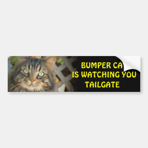 Bumper Cat is watching TAILGATE 20 Bumper Sticker