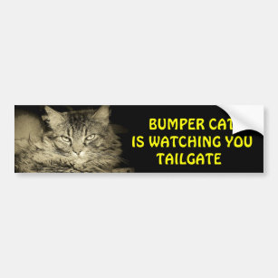 Bumper Cat is watching TAILGATE 24 Bumper Sticker