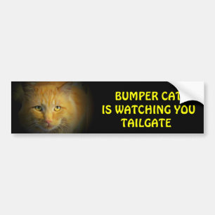 Bumper Cat is watching TAILGATE 25 Sticker