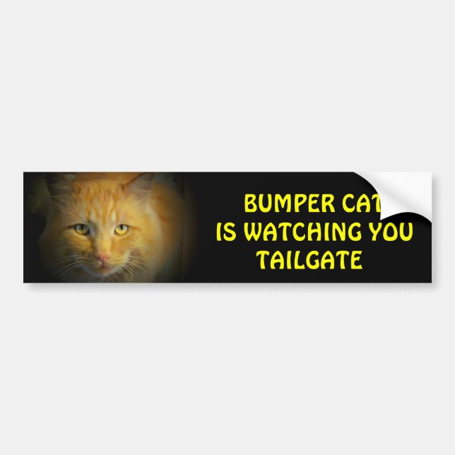 Bumper Cat is watching TAILGATE 25 Sticker (Front)