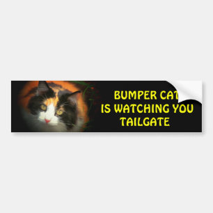 Bumper Cat is watching TAILGATE 26 Bumper Sticker