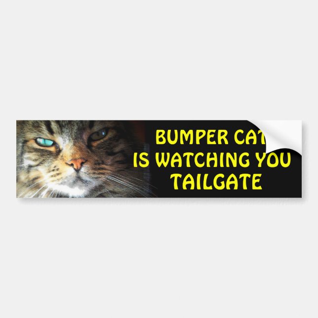 Bumper Cat is watching TAILGATE 2.5 Bumper Sticker (Front)