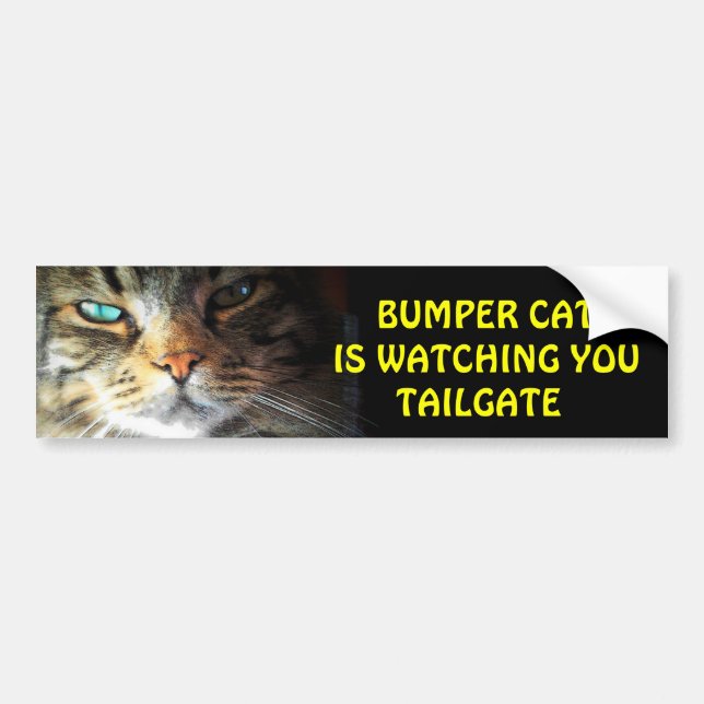 Bumper Cat is watching TAILGATE 2 Bumper Sticker (Front)