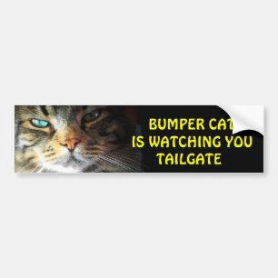 Bumper Cat is watching TAILGATE 2 Sticker