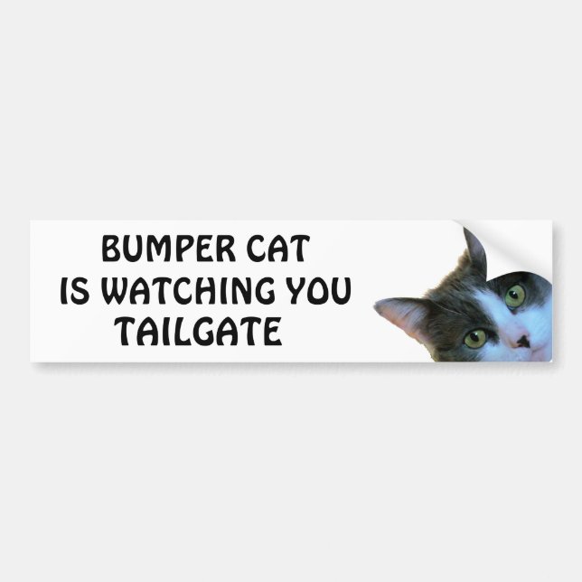 Bumper Cat is watching TAILGATE 30 Sticker (Front)