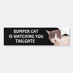 Bumper Cat is watching TAILGATE 33 Bumper Sticker
