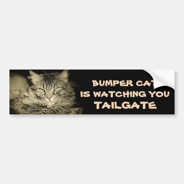 Bumper Cat is watching TAILGATE 34 Shades of Grey Bumper Sticker (Front)