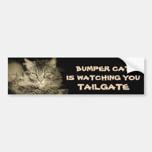 Bumper Cat is watching TAILGATE 34 Shades of Grey Sticker