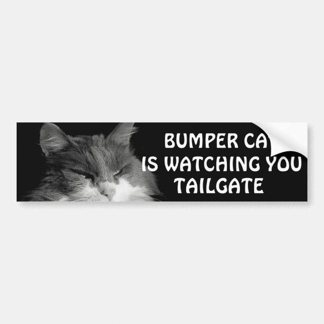 Bumper Cat is watching TAILGATE 36 Meme Sticker (Front)
