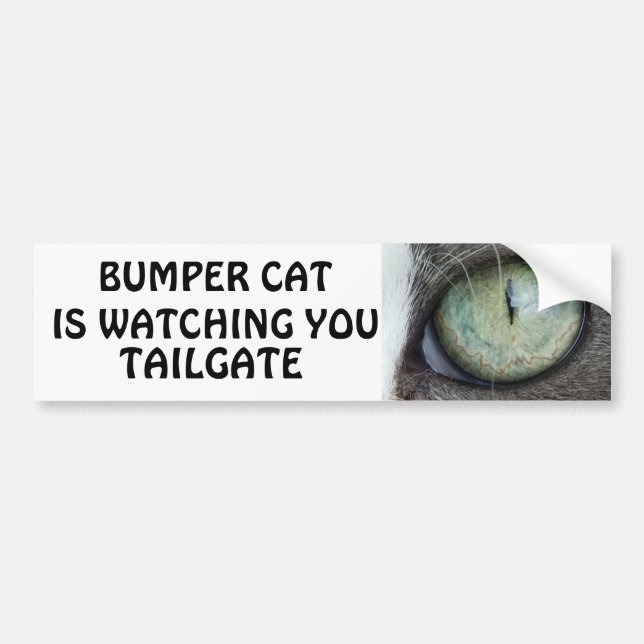 Bumper Cat is watching TAILGATE 38 Sticker (Front)