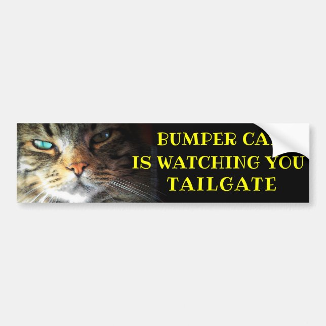 Bumper Cat is watching TAILGATE 41 Meme Bumper Sticker (Front)