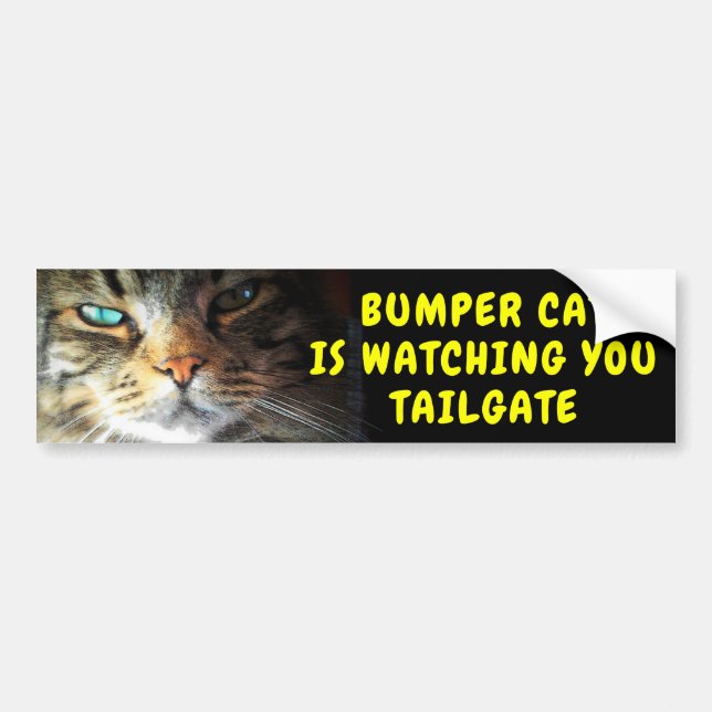 Bumper Cat is watching TAILGATE 42 Chewy Font Bumper Sticker (Front)