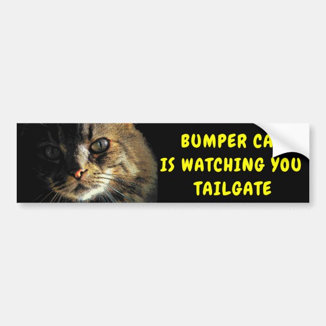 Bumper Cat is watching TAILGATE 43 Sticker (Front)