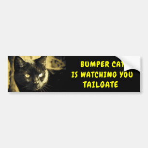 Bumper Cat is watching TAILGATE 44 Sticker