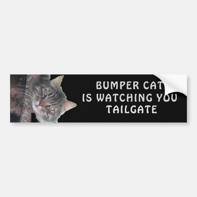 Bumper Cat is watching TAILGATE 45 Bumper Sticker (Front)