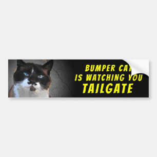 Bumper Cat is watching TAILGATE 46 Bumper Sticker